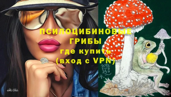 apvp Арсеньев