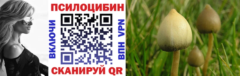 Псилоцибиновые грибы ЛСД Талица